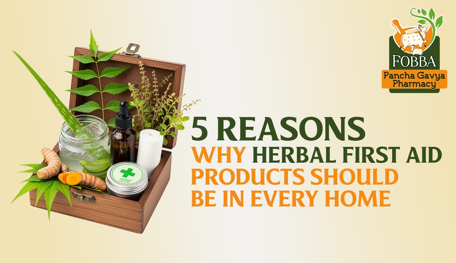 5 Reasons Why Herbal First-Aid Products Should Be in Every Home